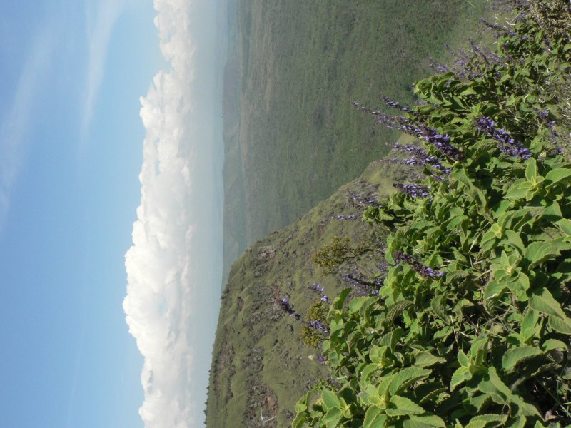 P1030877.JPG