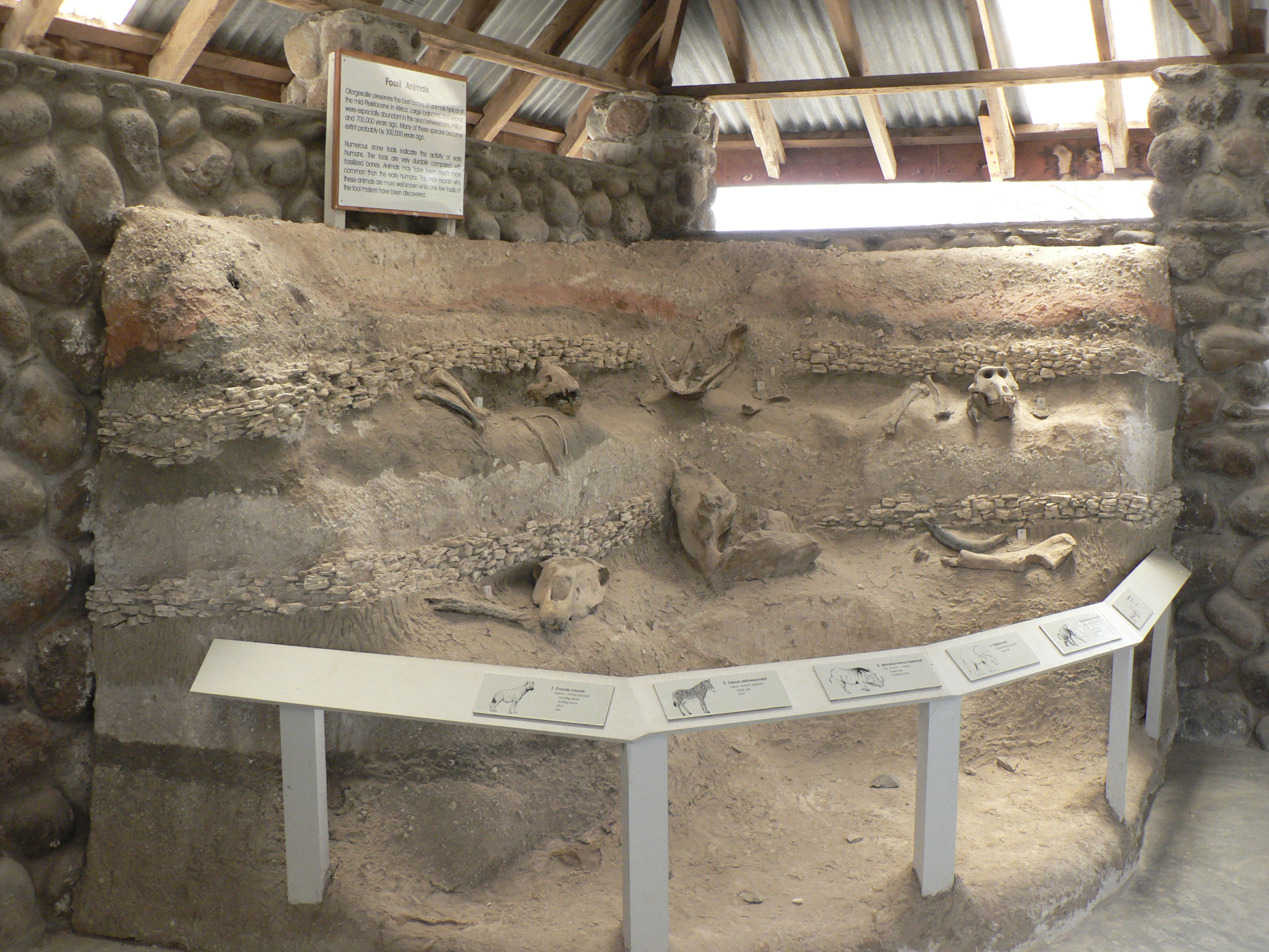 P1100645.JPG